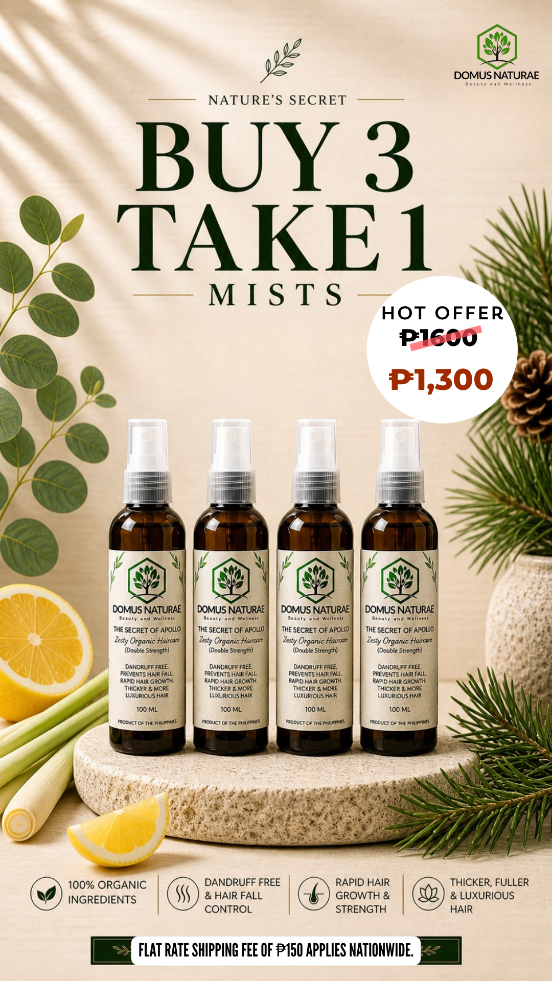 Buy 3 Take 1 Mist
