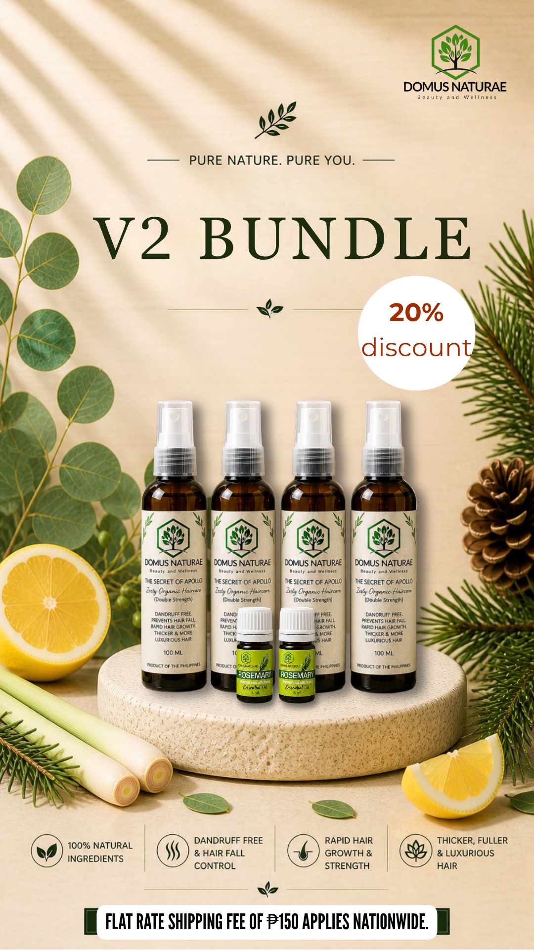 V2 Bundle